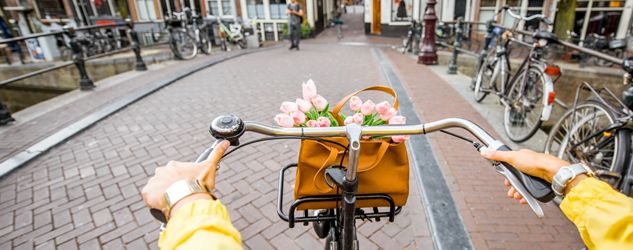 bicicletta 6 km al giorno fanno dimagrire