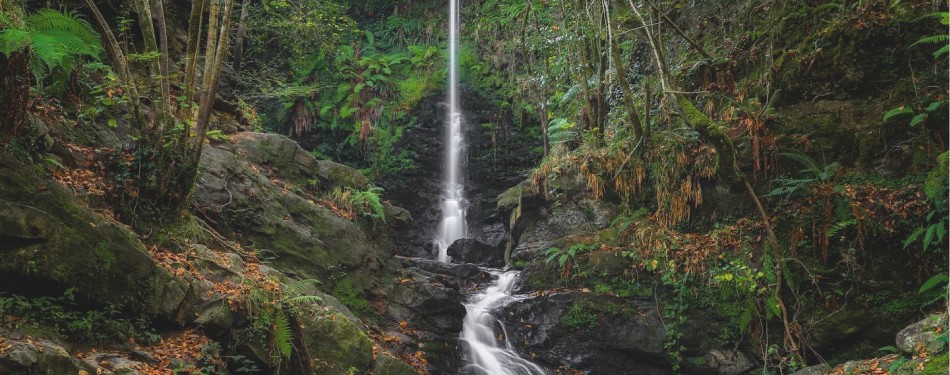 Naturaleza Cantabria