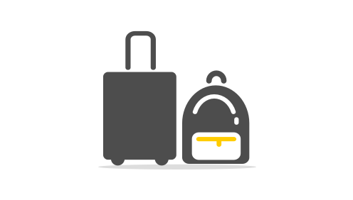 entusiastisk Rouse Skærm Hand luggage, checked luggage and special luggage | Vueling - Vueling